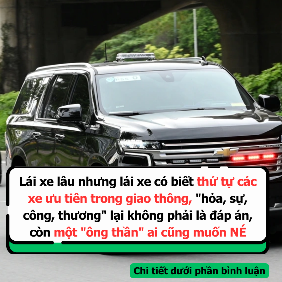 Lái xe lâu nhưng lái xe có biết thứ tự các xe ưu tiên trong giao thông ...