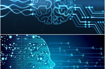 The Digital Divide: Who Gets Left Behind in a Connected World